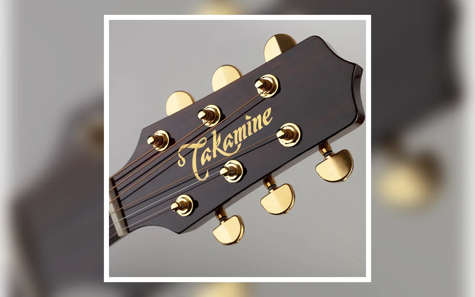 ภาพถ่ายจริงหัวกีตาร์ Takamine P5DC เห็นโลโก้ Takamine อินเลย์และลูกบิดชัดเจน กลุ่ม Takamine